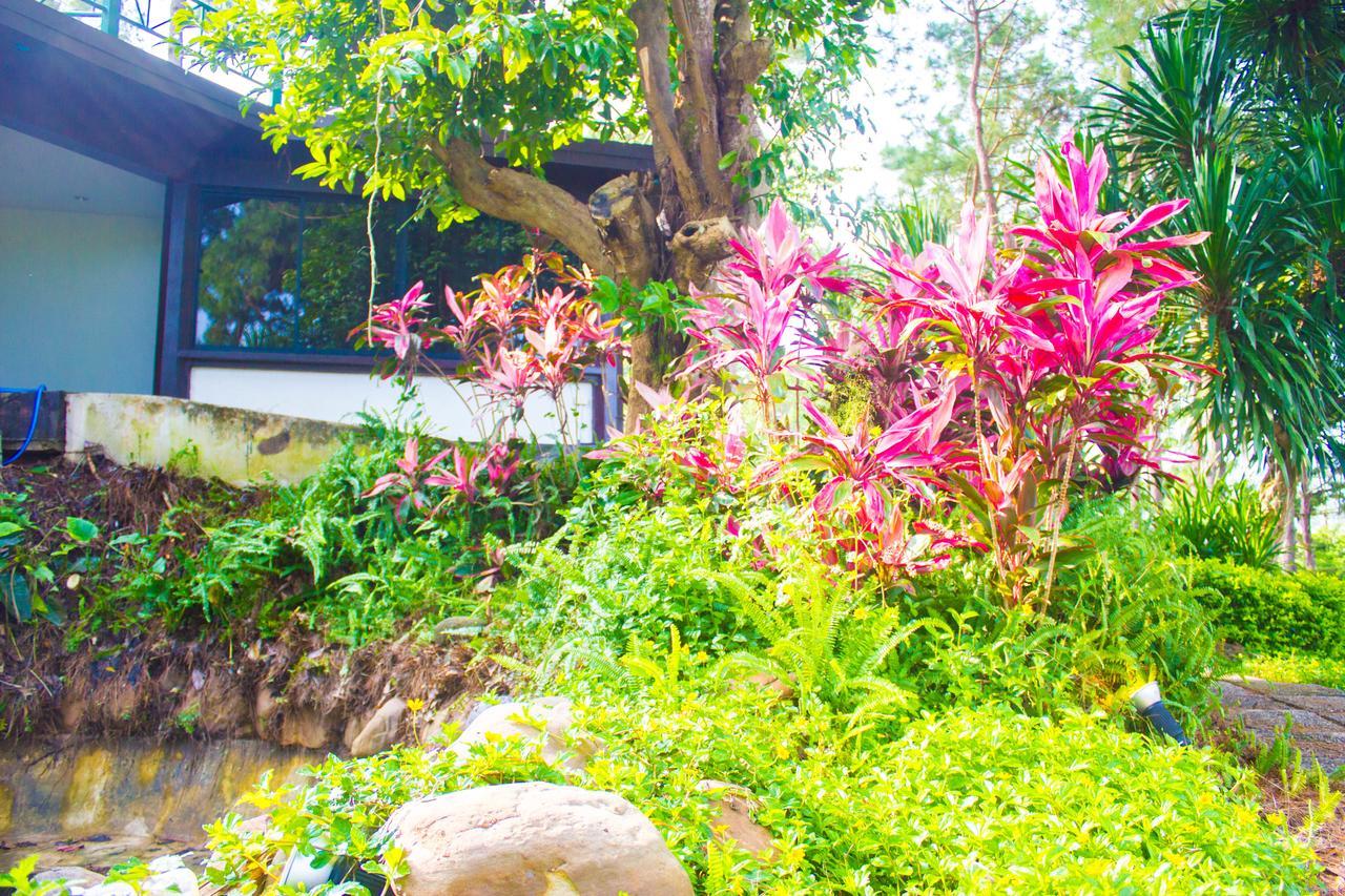 Bird Land Resort Amphoe Amphoe Khao Kho Exterior foto