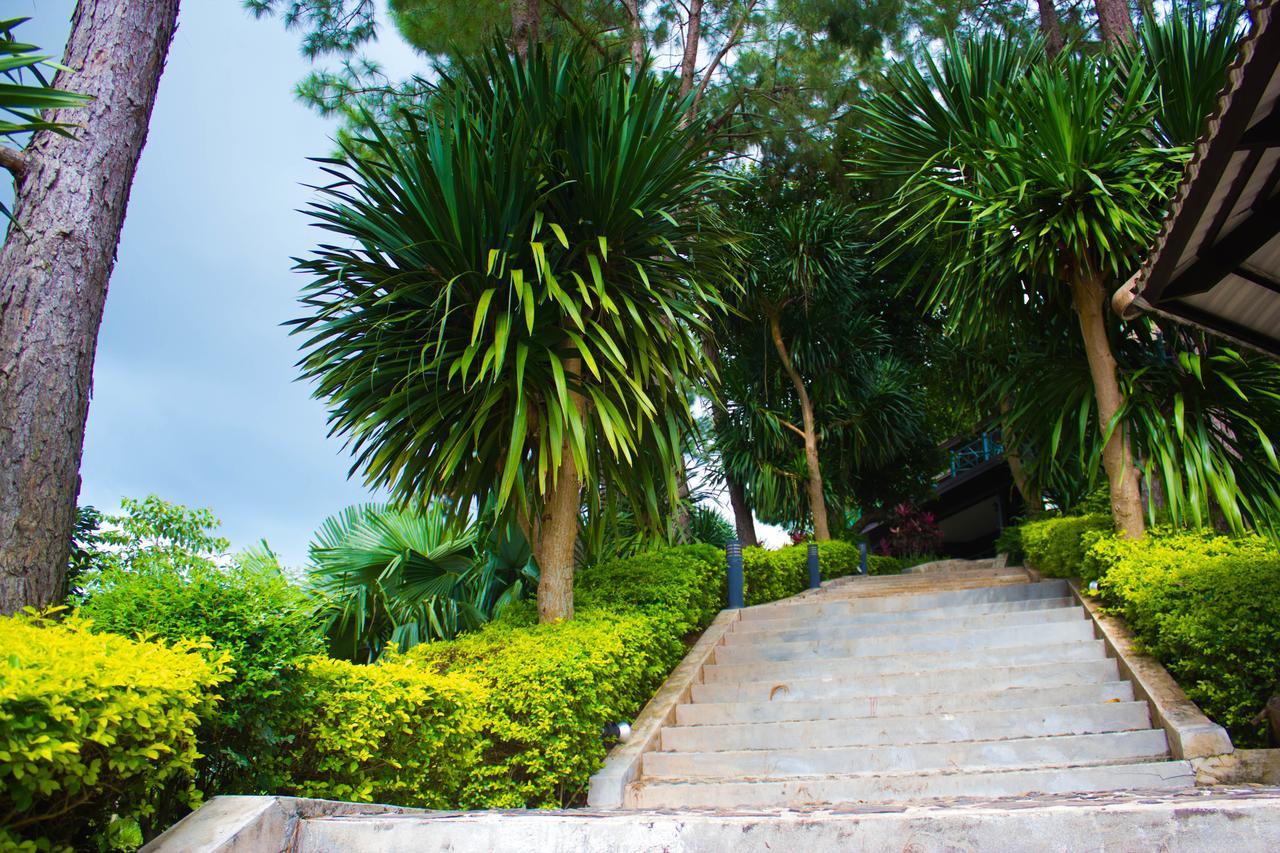 Bird Land Resort Amphoe Amphoe Khao Kho Exterior foto
