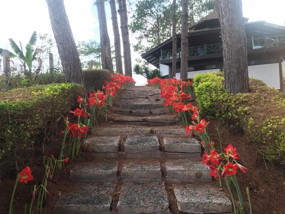 Bird Land Resort Amphoe Amphoe Khao Kho Exterior foto