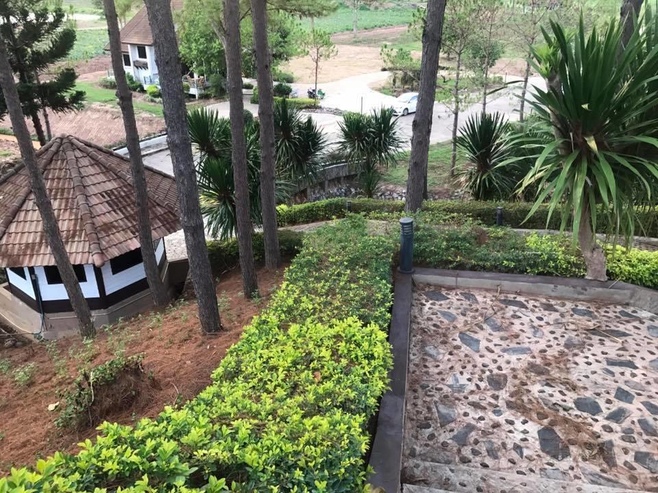 Bird Land Resort Amphoe Amphoe Khao Kho Exterior foto